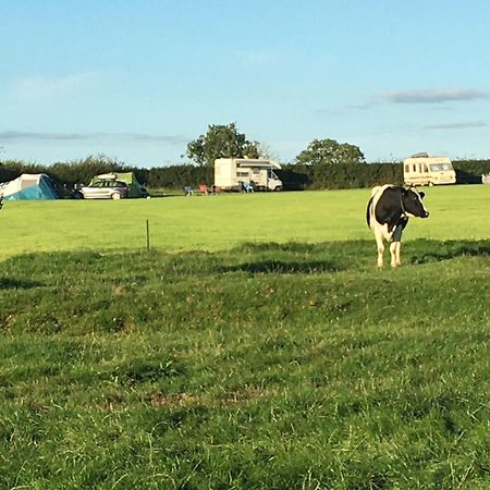 Hotel Carreg Y Gwynt Campsite - Touring And Tent Pitches Llanarth  Exteriér fotografie