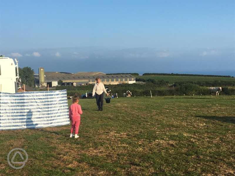 Hotel Carreg Y Gwynt Campsite - Touring And Tent Pitches Llanarth  Exteriér fotografie